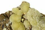 Yellow-Green Austinite Crystal Formation - Durango, Mexico #154717-1